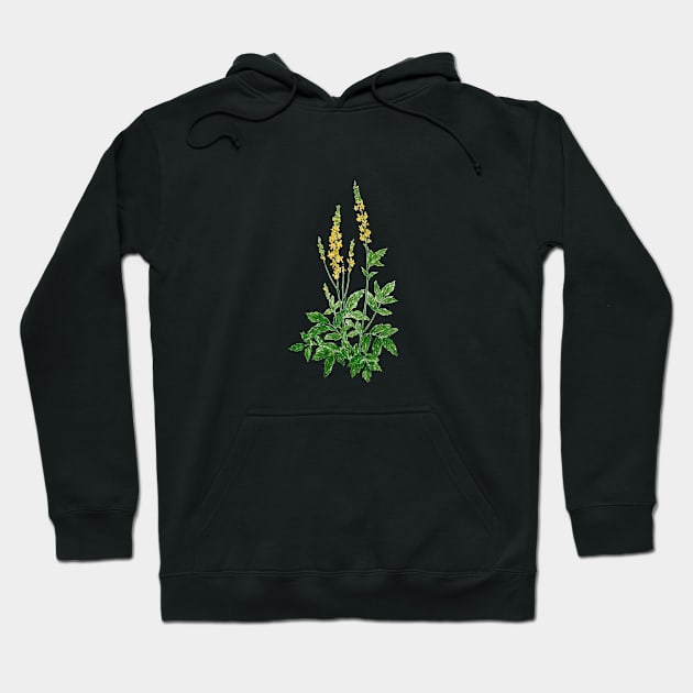 August 21st birthday flower Hoodie by birthflower